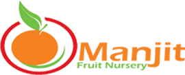 manjit fruit nursery